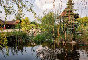 malownicze_wesela_kolo_mielca