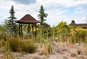 sala_bakietowa_z_ogrodem